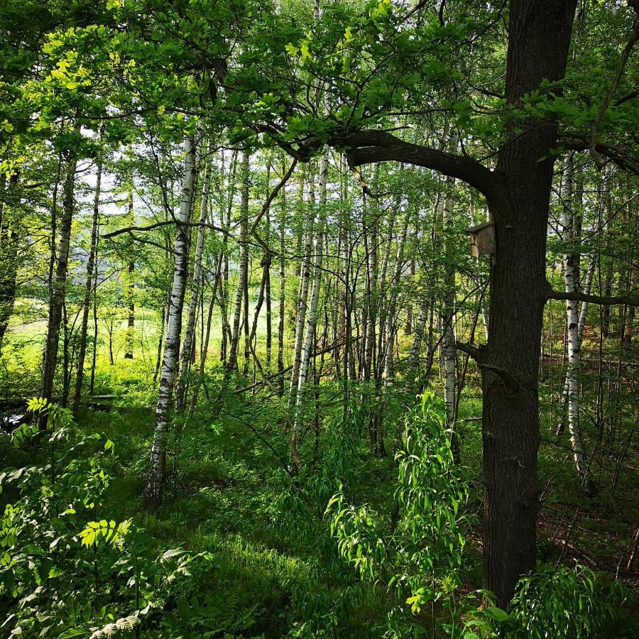 Ferienhof Plotzen Hochkirch Bagian luar foto