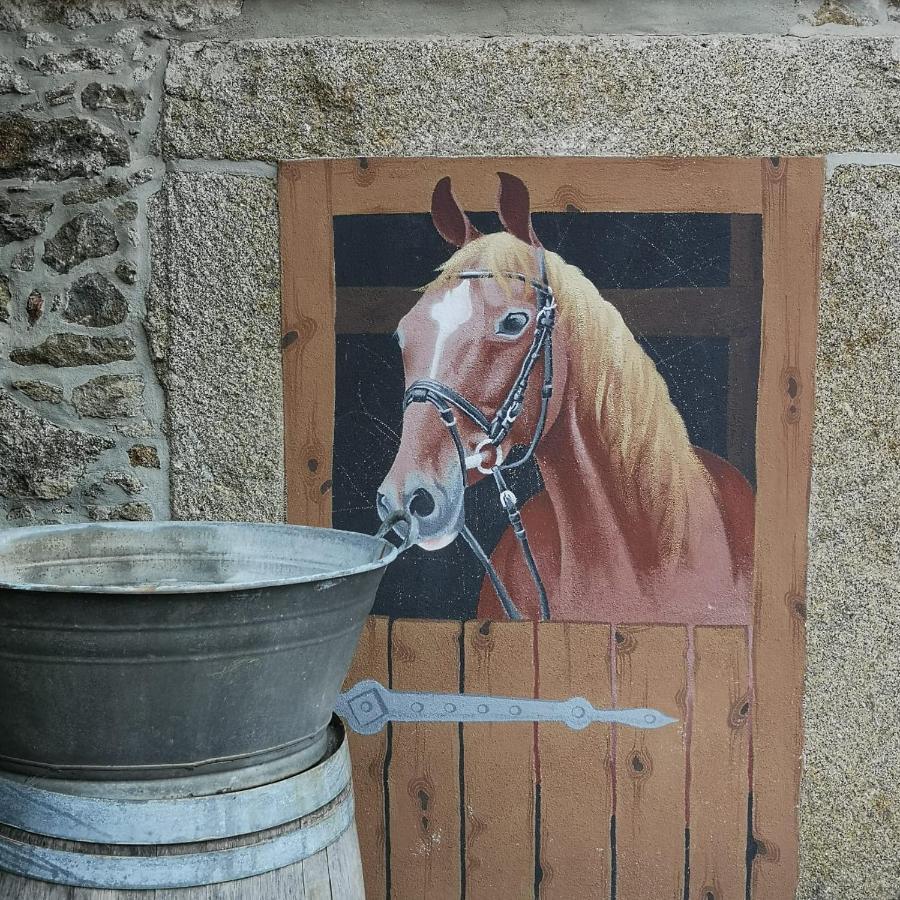 Ferienhof Plotzen Hochkirch Bagian luar foto